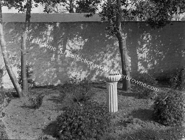 GARDEN TREES